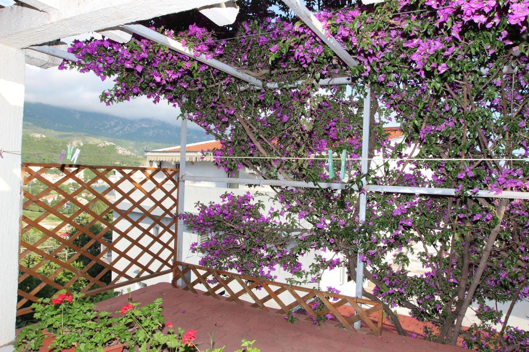 Apartment Sandra Budva Oda fotoğraf
